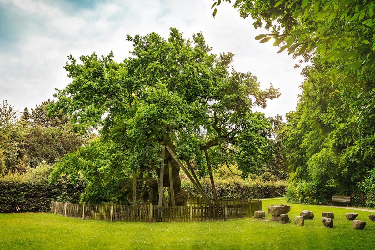 Erler Koornhuus Bed & Breakfast Raesfeld ภายนอก รูปภาพ